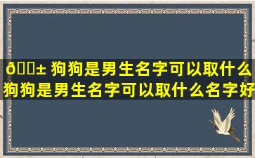 🐱 狗狗是男生名字可以取什么（狗狗是男生名字可以取什么名字好听）